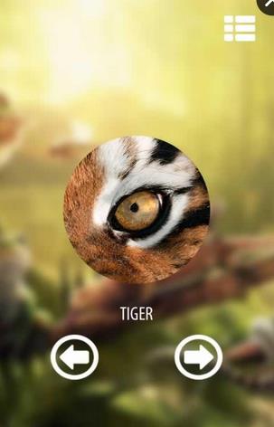 Vision animal simulator(视觉动物模拟器下载)截图