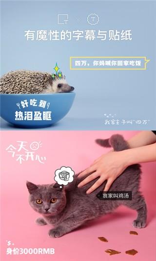 猫饼短视频截图