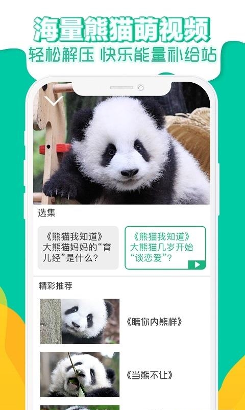 熊猫频道手机版截图