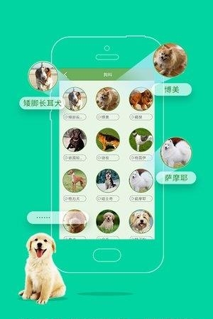 人狗人猫交流器截图