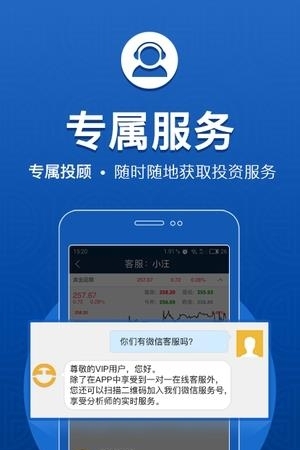 金大师手机版截图