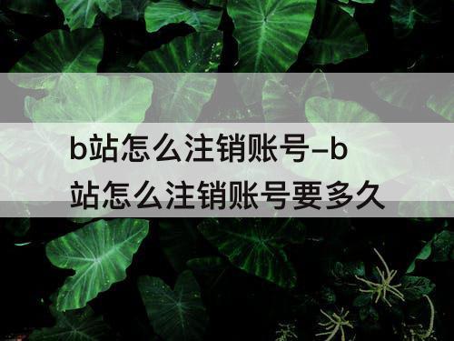 b站怎么注销账号-b站怎么注销账号要多久