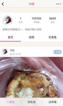 草莓网址进入截图