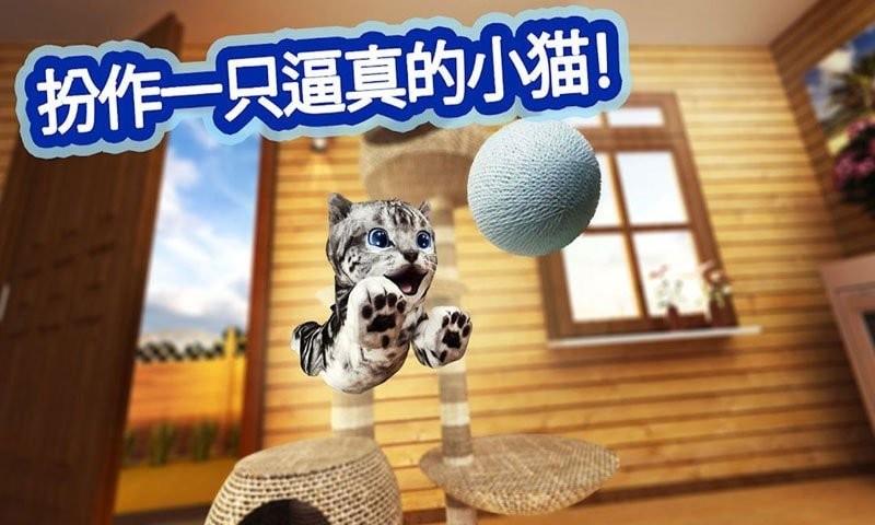 迷你小猫城市生存截图