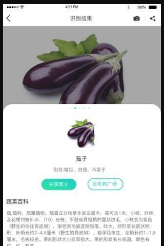 识菜君截图