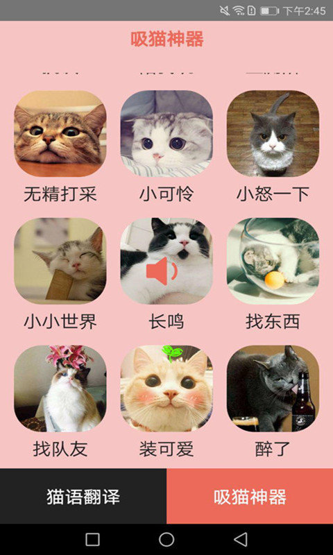 火猫猫语截图