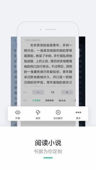 抢更小说截图