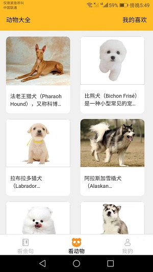 口袋乐看手机版截图