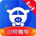 小明猪车