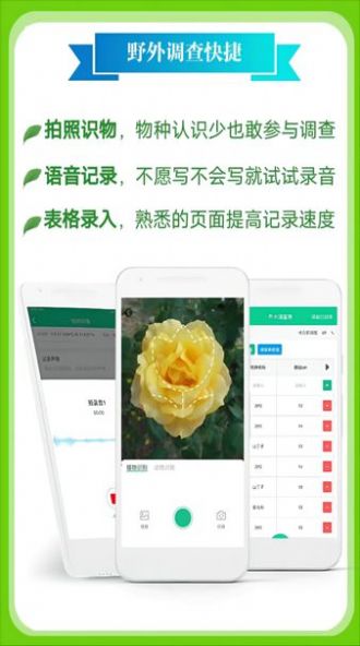 北极花生物调查截图