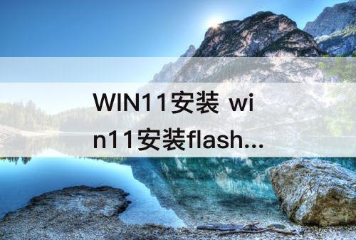 WIN11安装 win11安装flash插件