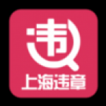 上海违章查询