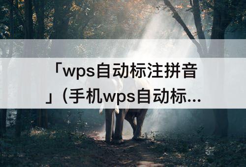 「wps自动标注拼音」(手机wps自动标注拼音)
