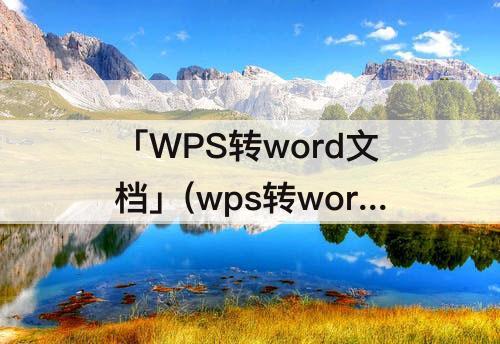 「WPS转word文档」(wps转word文档格式)