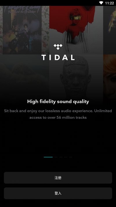 tidal截图