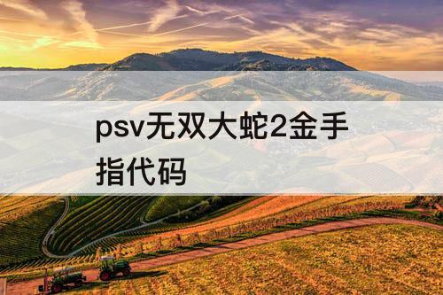 psv无双大蛇2金手指代码