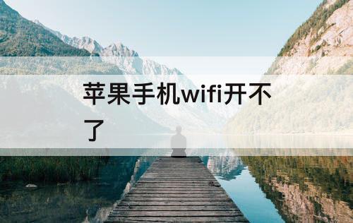 苹果手机wifi开不了