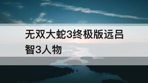 无双大蛇3终极版远吕智3人物