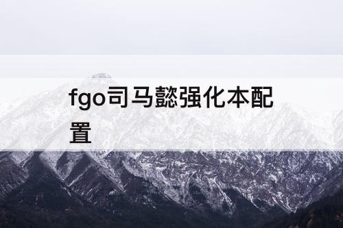 fgo司马懿强化本配置