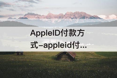 AppleID付款方式-appleid付款方式被拒怎么办