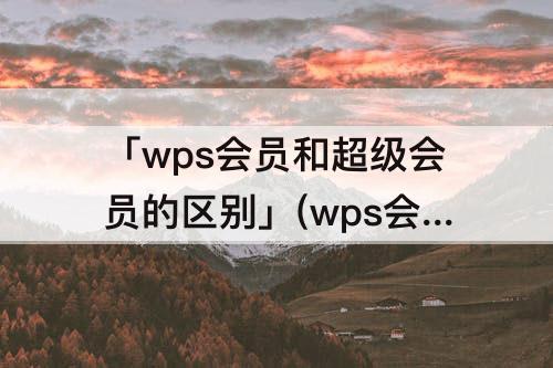 「wps会员和超级会员的区别」(wps会员和超级会员的区别一图看懂)