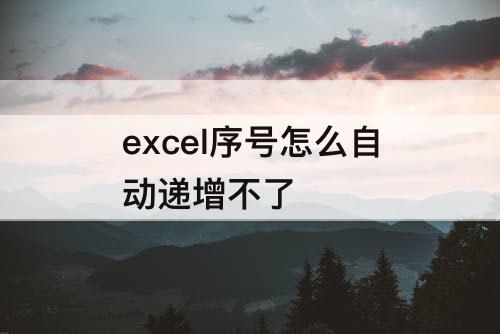 excel序号怎么自动递增不了