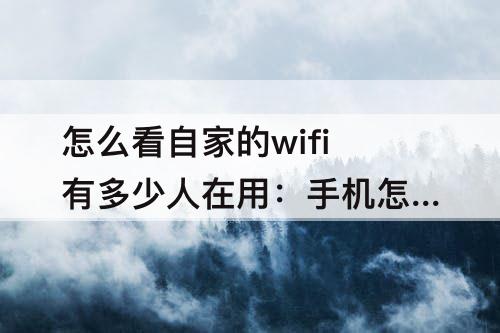 怎么看自家的wifi有多少人在用：手机怎么看自家的wifi有多少人在用