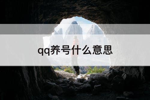 qq养号什么意思