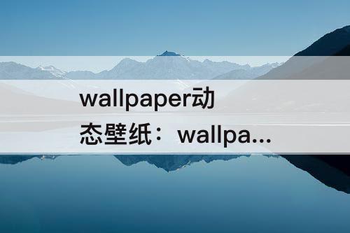 wallpaper动态壁纸：wallpaper动态壁纸过一会就不动了