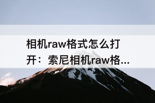 相机raw格式怎么打开：索尼相机raw格式怎么打开