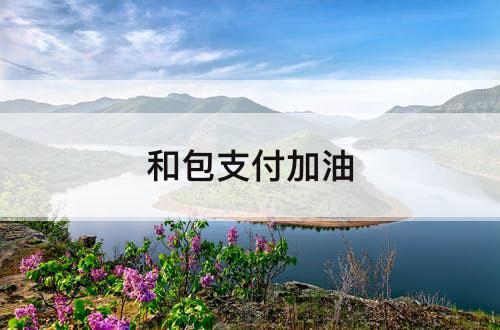 和包支付加油