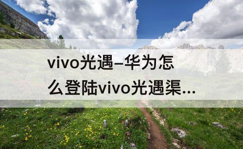 vivo光遇-华为怎么登陆vivo光遇渠道服