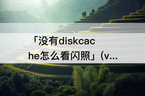 「没有diskcache怎么看闪照」(vivo没有diskcache怎么看闪照)