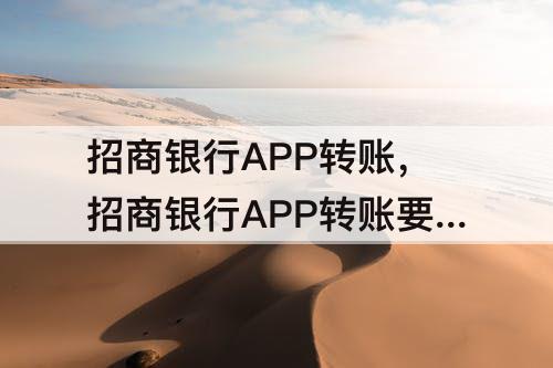 招商银行APP转账，招商银行APP转账要视频验证