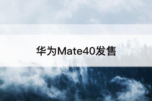 华为Mate40发售