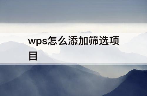 wps怎么添加筛选项目