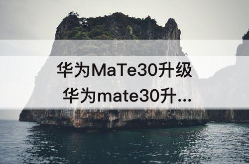 华为MaTe30升级 华为mate30升级鸿蒙系统怎么样