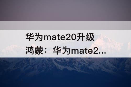 华为mate20升级鸿蒙：华为mate20升级鸿蒙系统