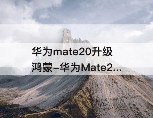 华为mate20升级鸿蒙-华为Mate20升级鸿蒙系统有什么危险