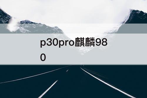 p30pro麒麟980