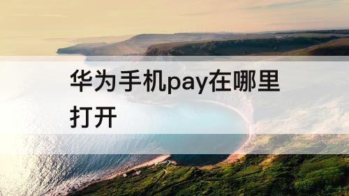 华为手机pay在哪里打开