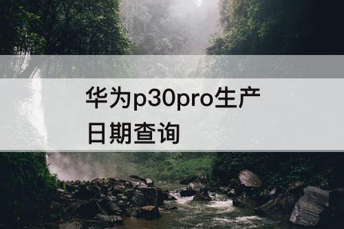 华为p30pro生产日期查询