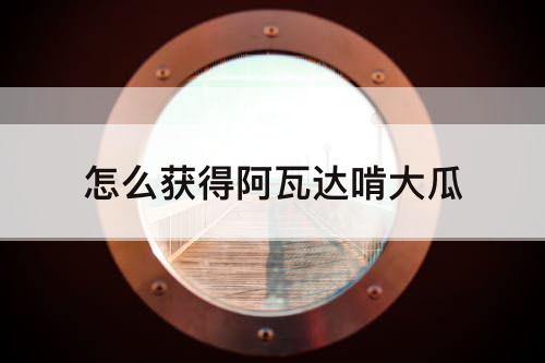 怎么获得阿瓦达啃大瓜