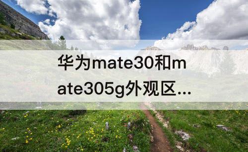 华为mate30和mate305g外观区别